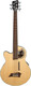 Lefthand Acoustic Bass 5-string