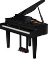 Roland GP-6 (polished ebony) Digital Grand Pianos